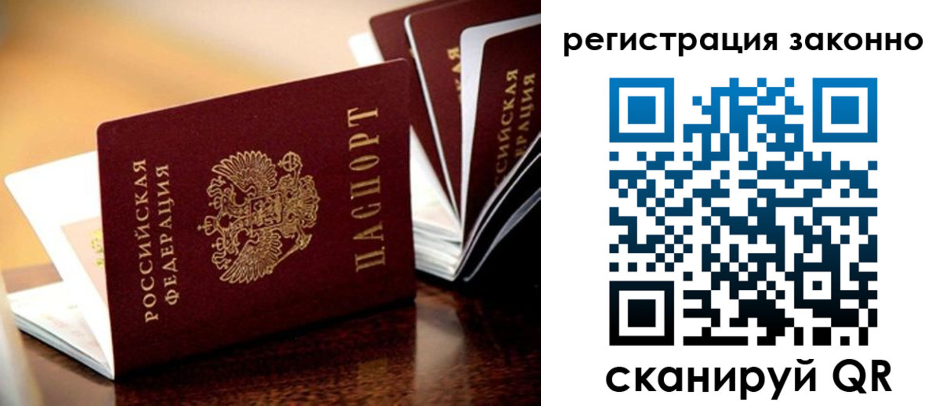 прописка для школы в Петровске